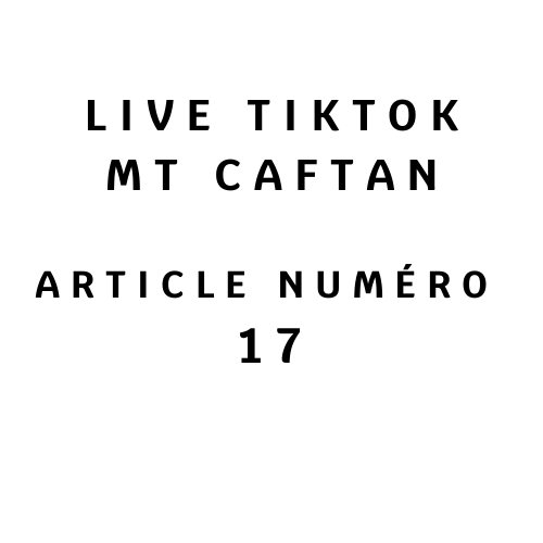 Article numéro 17
